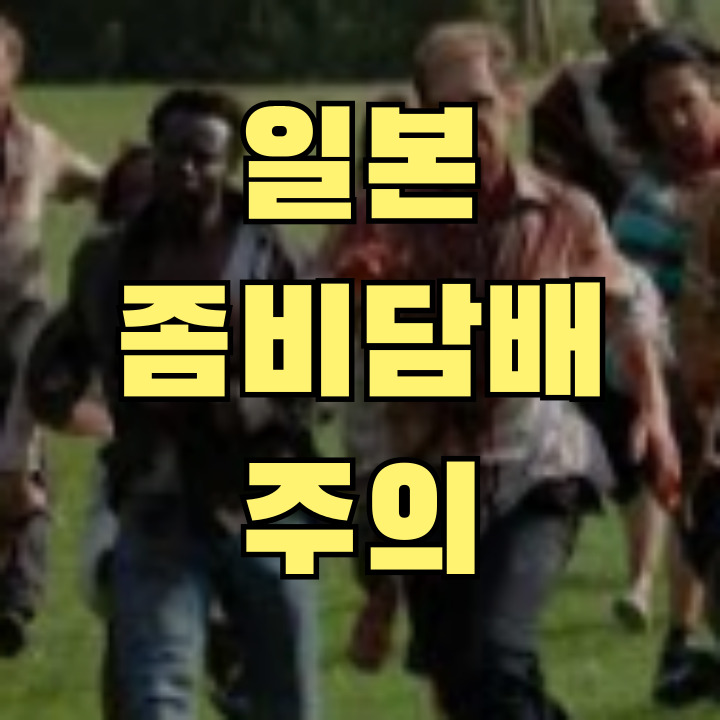 일본 좀비 담배 에토미데이트 전자담배 위험성 경고 및 법적 규제 현황 안내 이미지
