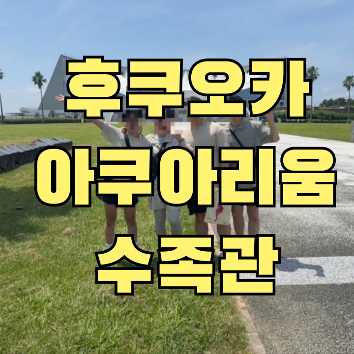 후쿠오카 마린월드 돌고래쇼와 수족관 전경 - 가는법과 할인 예약 완벽 가이드