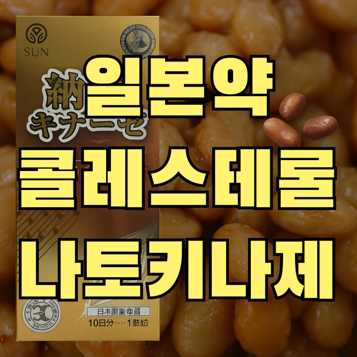 콜레스테롤 낮추는 일본약 나토키나제