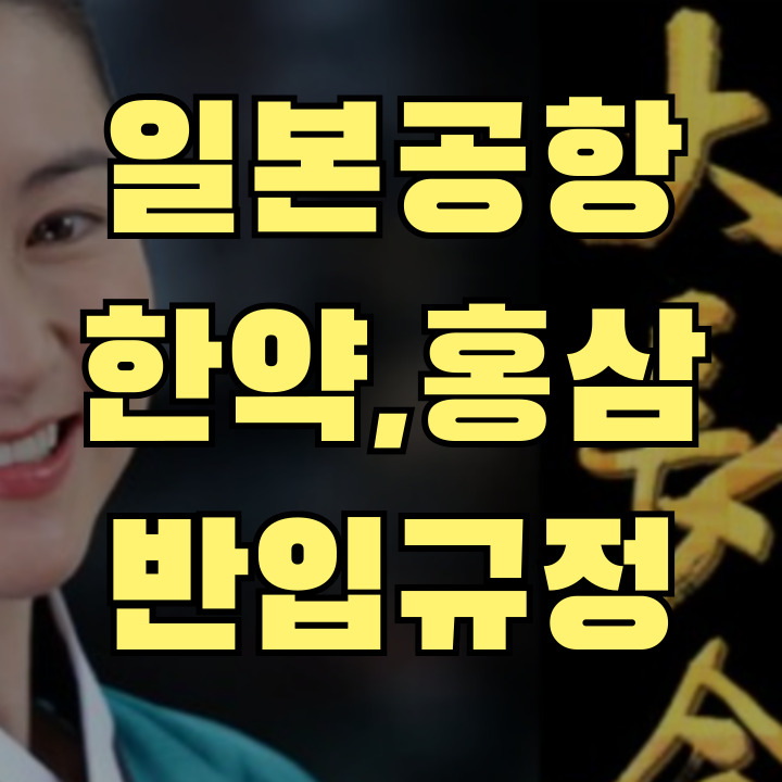 일본 공항 한약 반입과 건강보조식품 반입 규정 안내