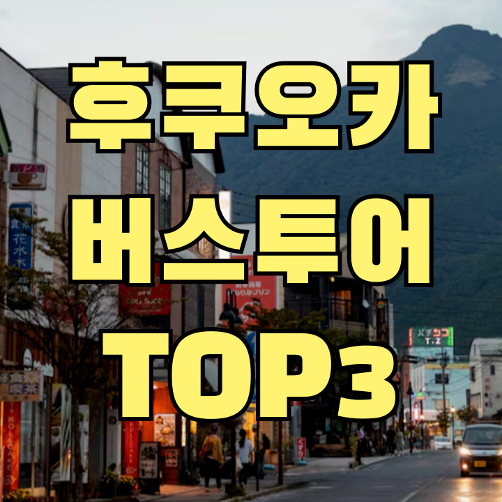 후쿠오카 버스투어 비교 잇쇼니투어 인디고트래블 투어비스