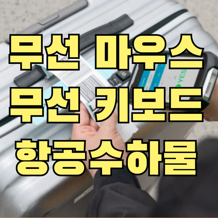무선 마우스 키보드 기내 반입