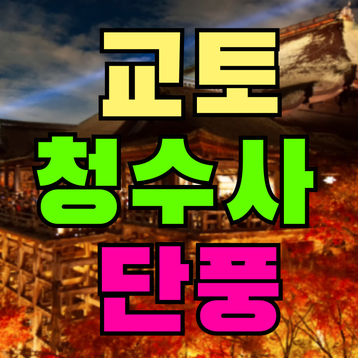 교토 청수사 단풍시기