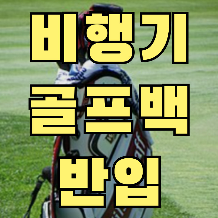 비행기 골프백 반입