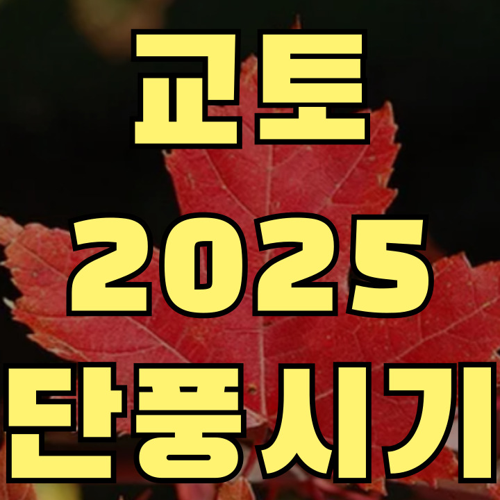 교토 단풍 시기