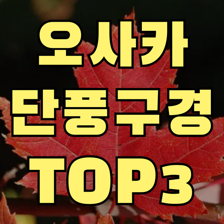 오사카 단풍 명소