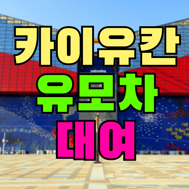 오사카 카이유칸 유모차