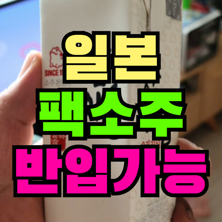 일본 입국 팩소주
