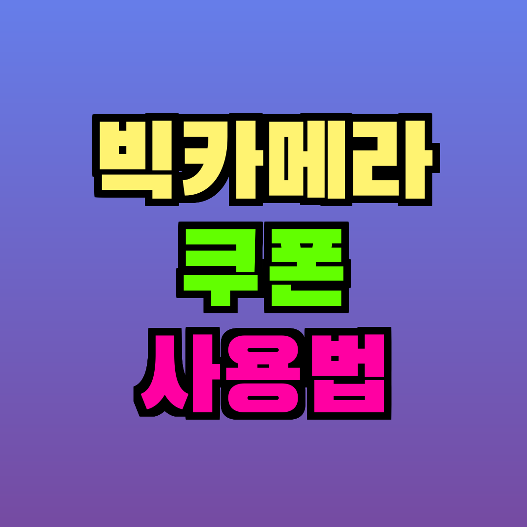 빅카메라 쿠폰 사용법