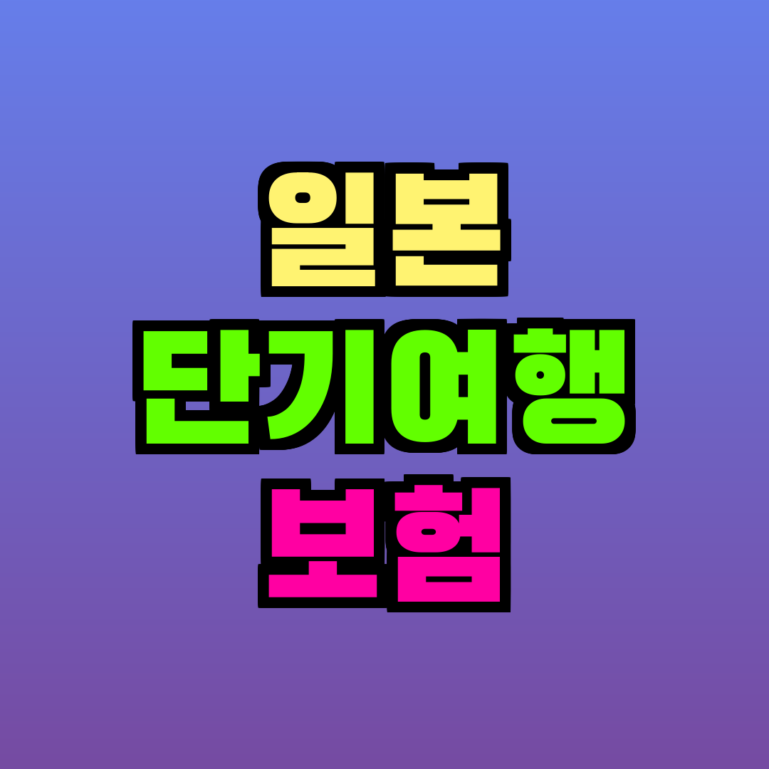 일본 단기여행 보험