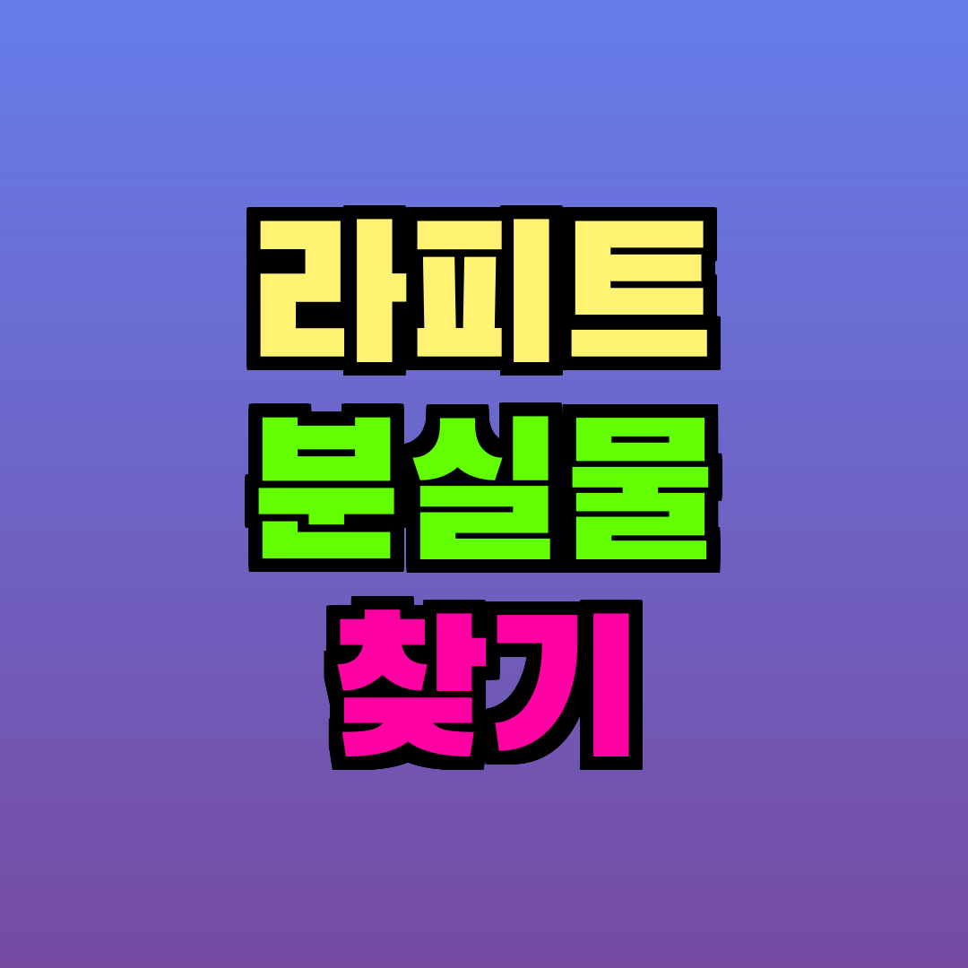 라피트 분실물 찾기