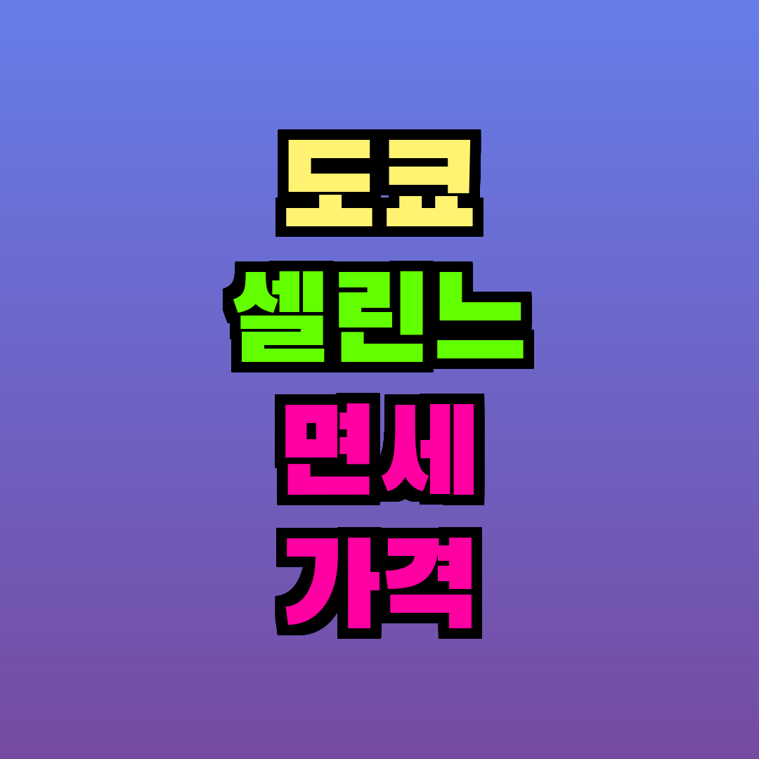 도쿄 셀린느 면세 가격
