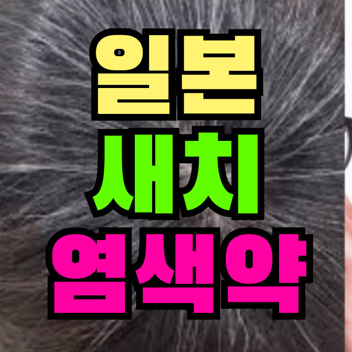 일본 새치 염색약 추천