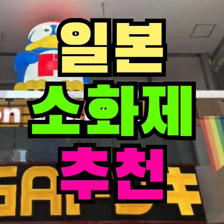 일본 소화제 추천
