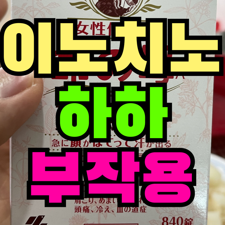 이노치노하하 부작용