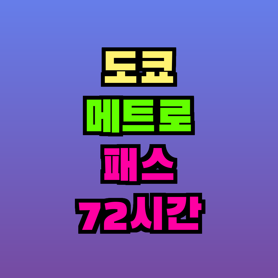 도쿄 메트로 패스 72시간
