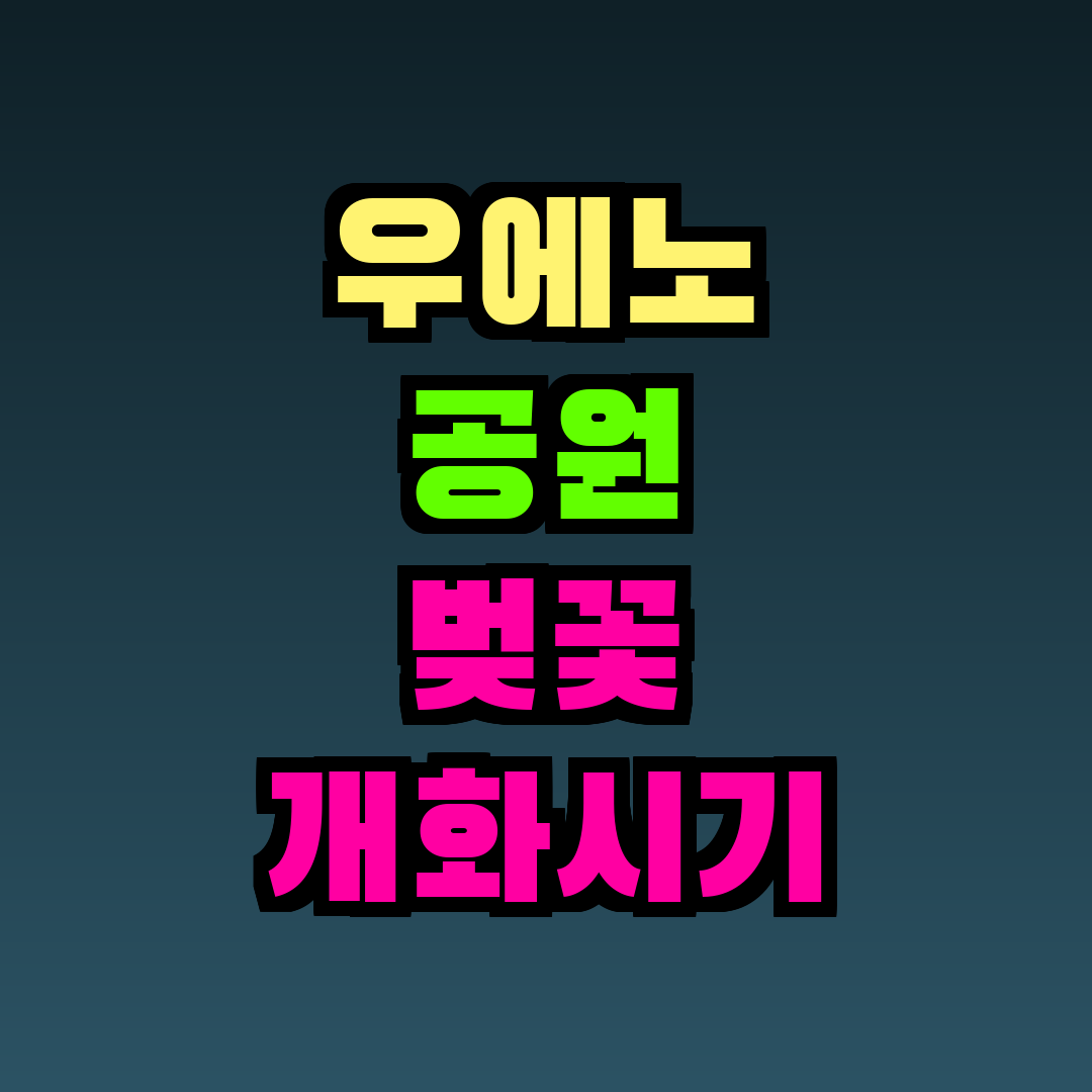 우에노 공원 벚꽃 개화시기