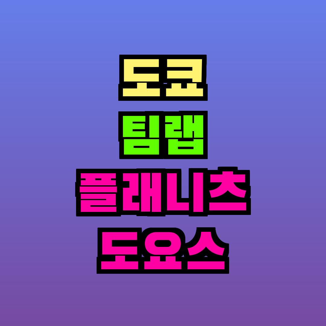 도쿄 팀랩 플래니츠 도요스