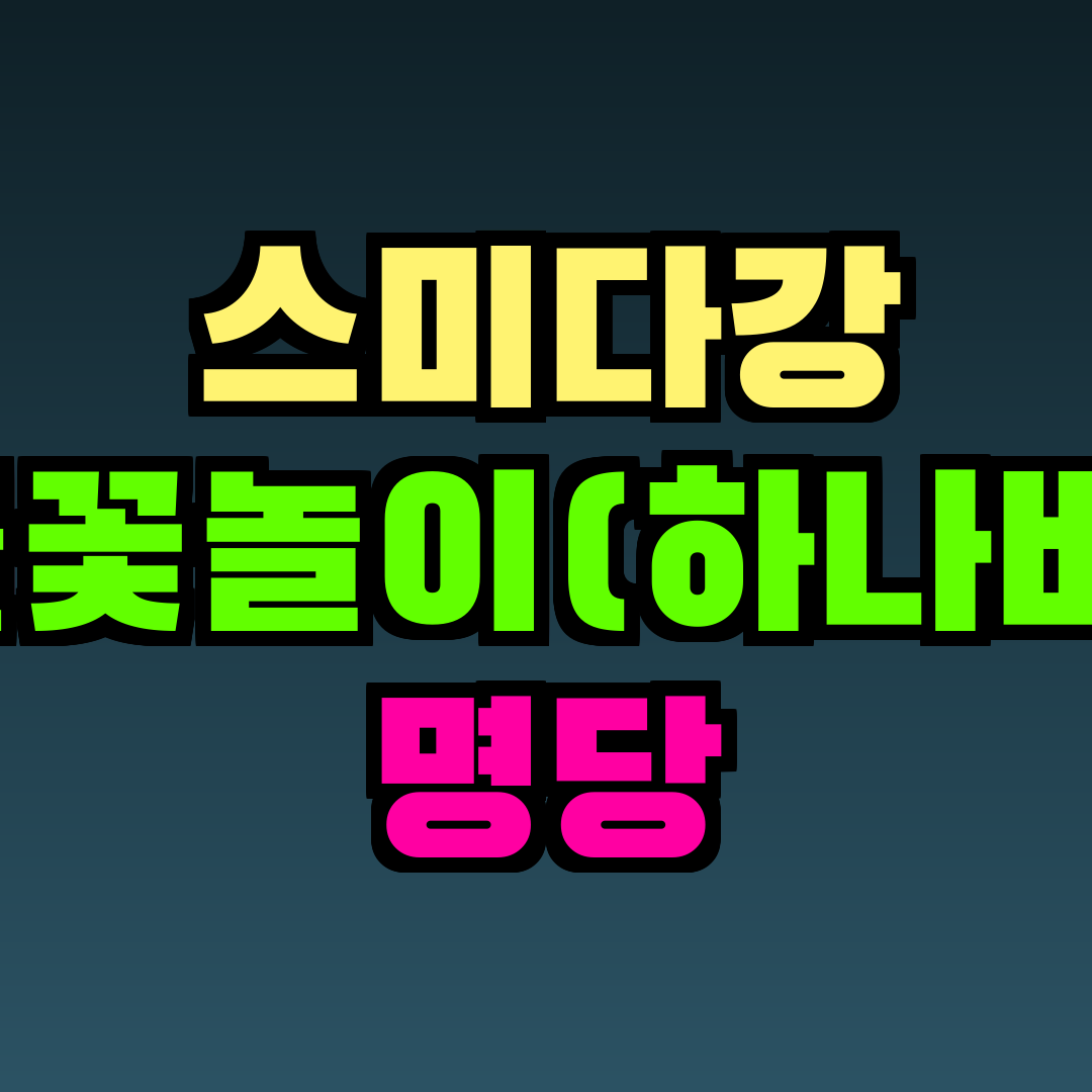 스미다강 불꽃놀이(하나비) 명당