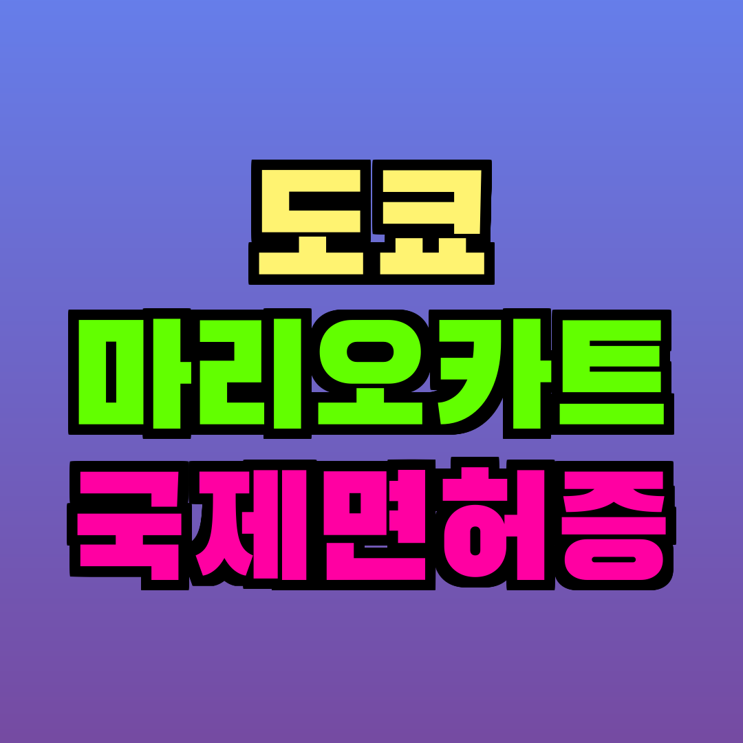 도쿄 마리오카트 국제면허증
