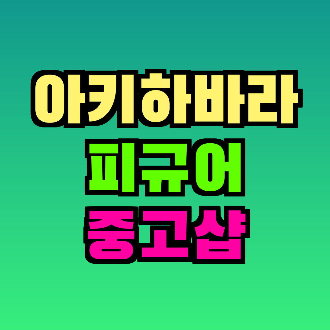 아키하바라 피규어 중고샵