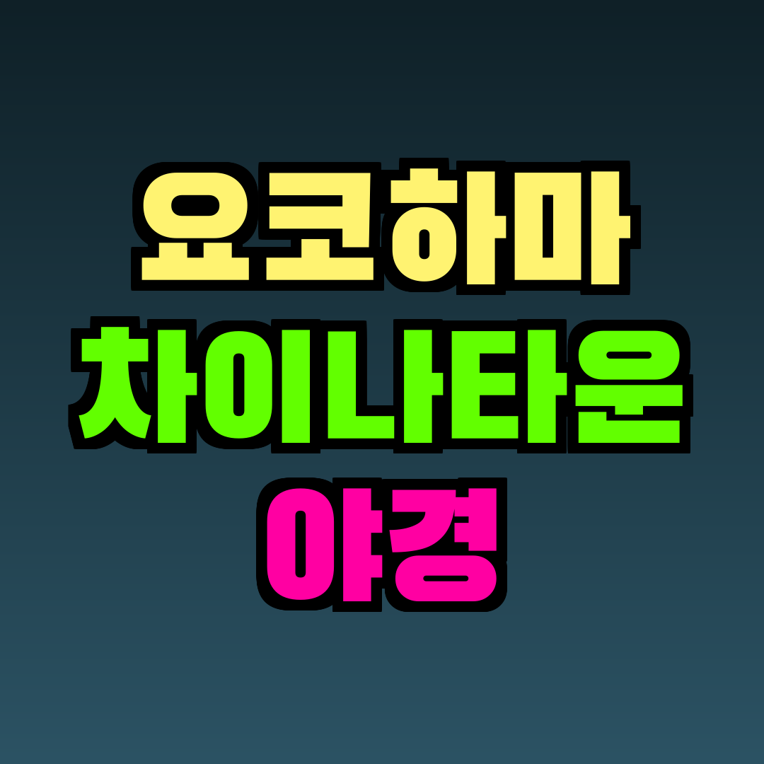 요코하마 차이나타운 야경