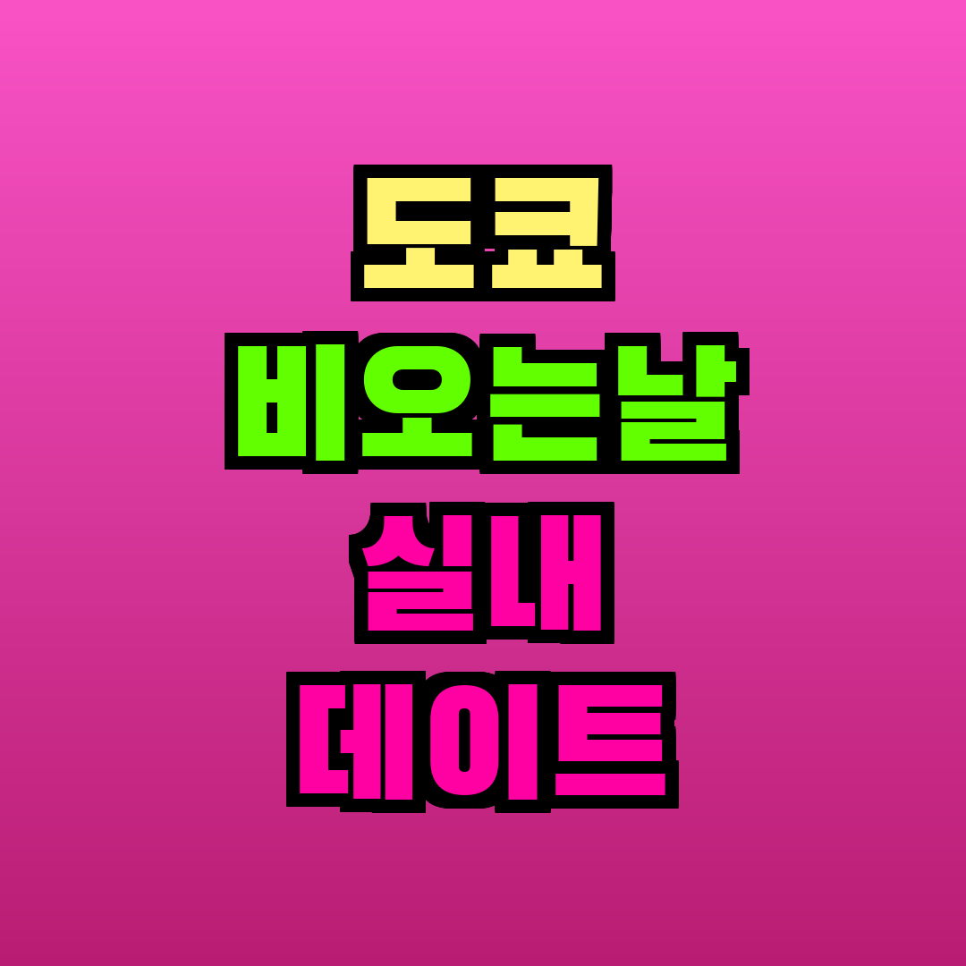 도쿄 비오는날 실내 데이트