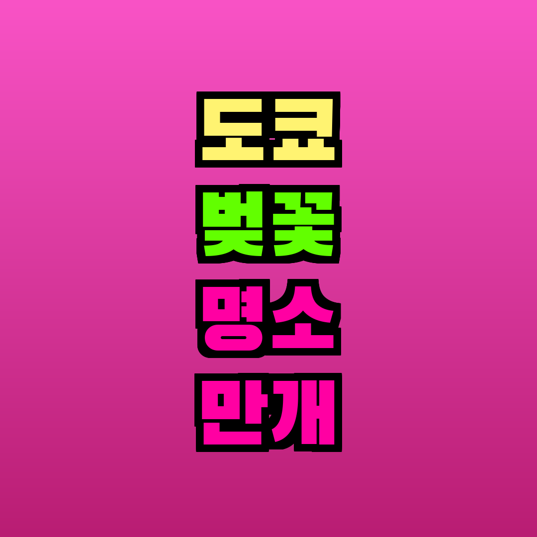 도쿄 벚꽃 명소 만개 시기