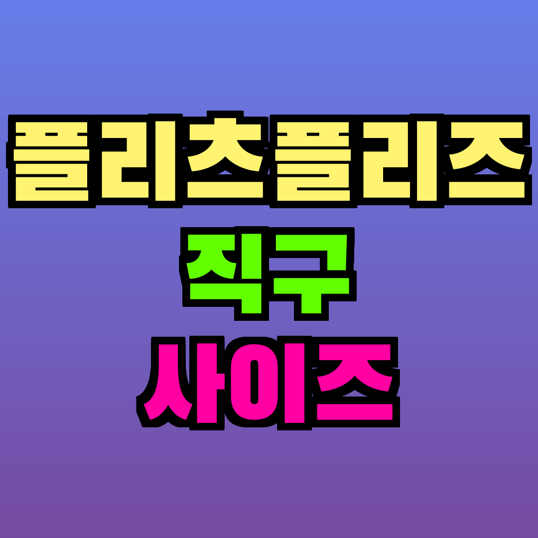 플리츠플리즈 직구 사이즈