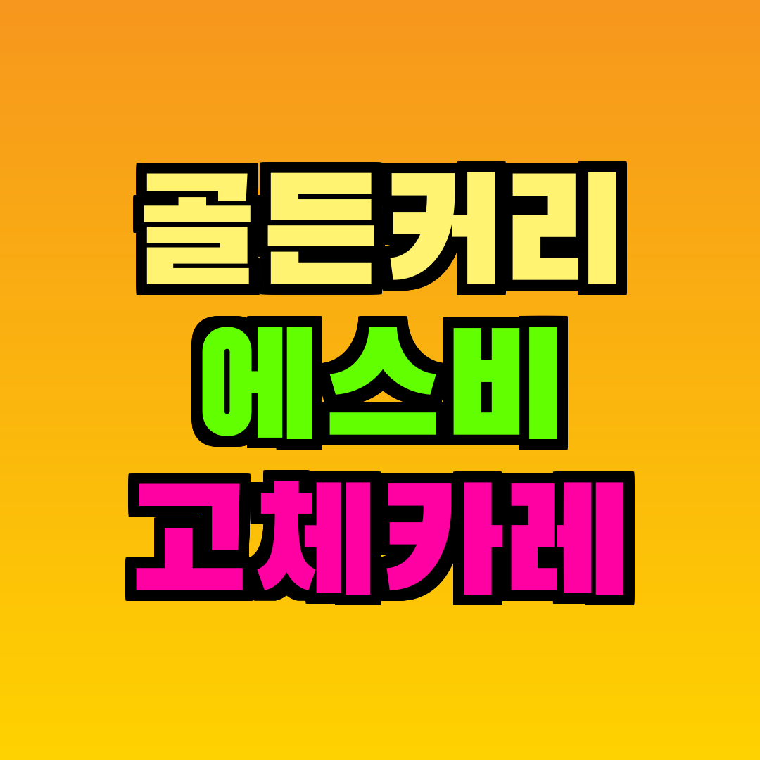 골든커리 에스비 고체카레