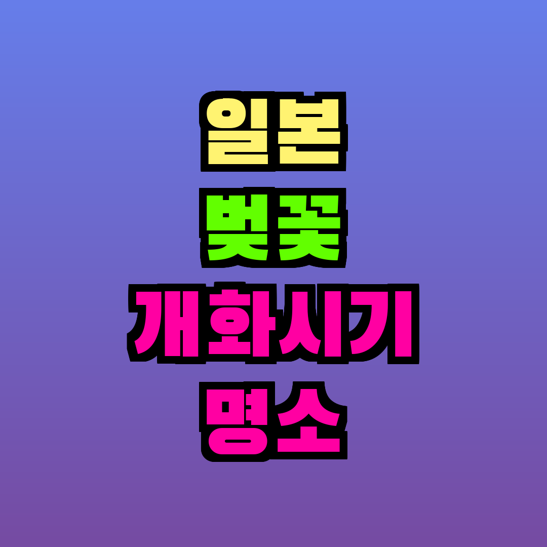 일본 벚꽃 개화시기 명소