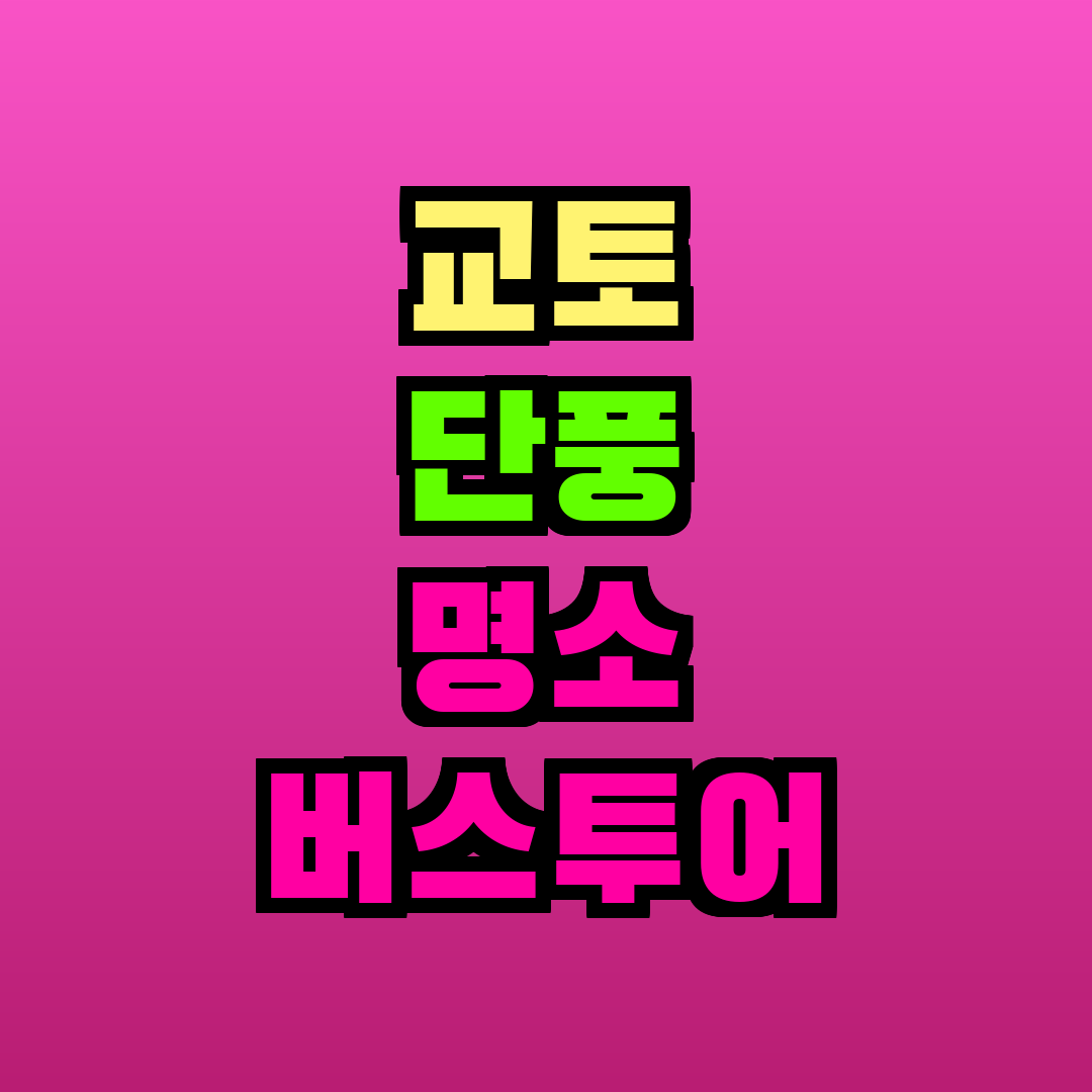 교토 단풍 명소 버스투어