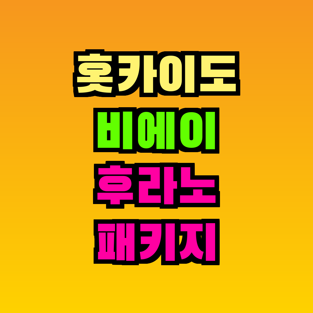 홋카이도 비에이 후라노 패키지
