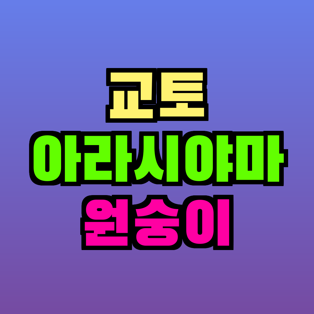 교토 아라시야마 원숭이