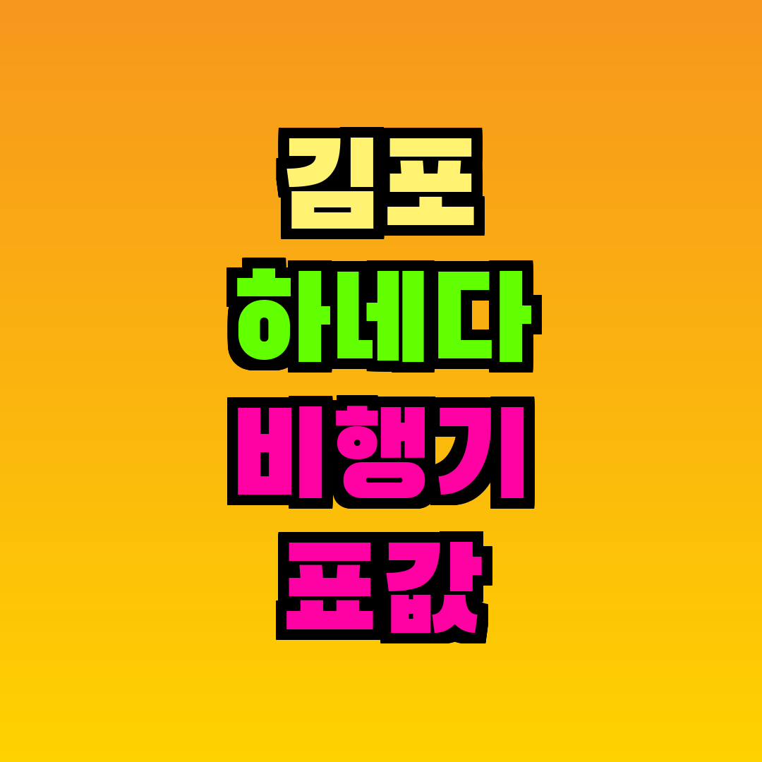 김포 하네다 비행기 표값
