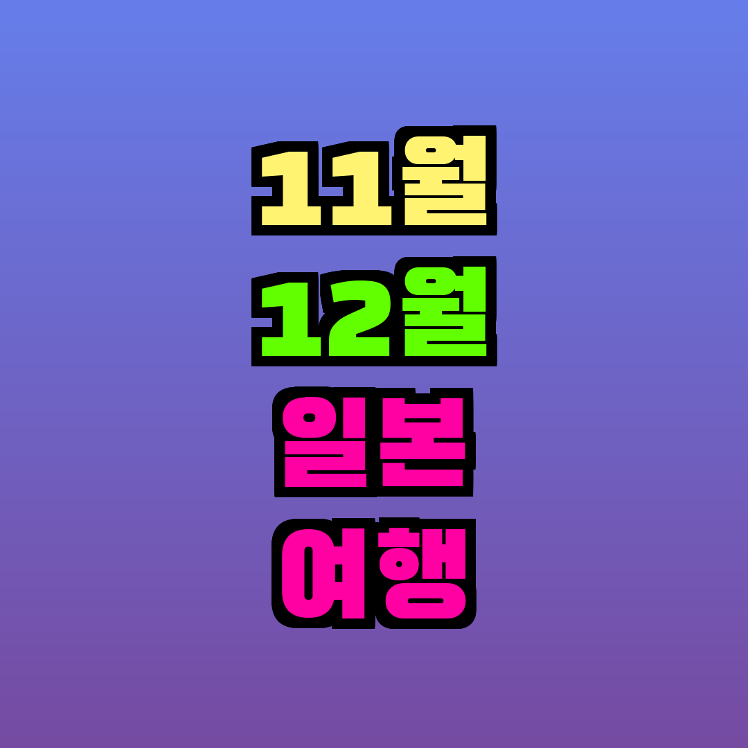 11월 12월 일본 여행 옷