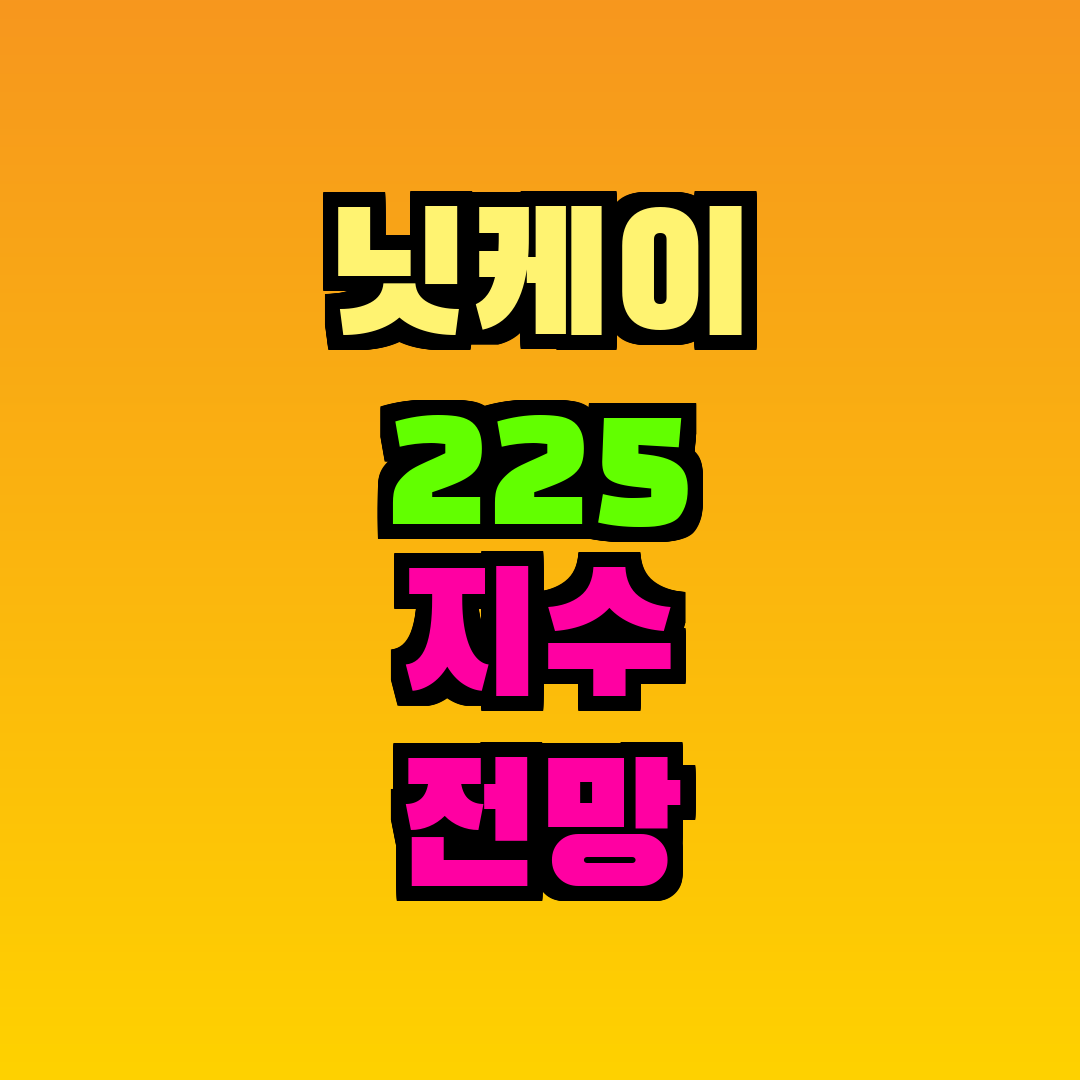 닛케이 225 지수 전망