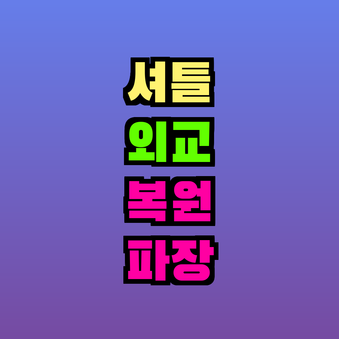 셔틀 외교 복원 파장