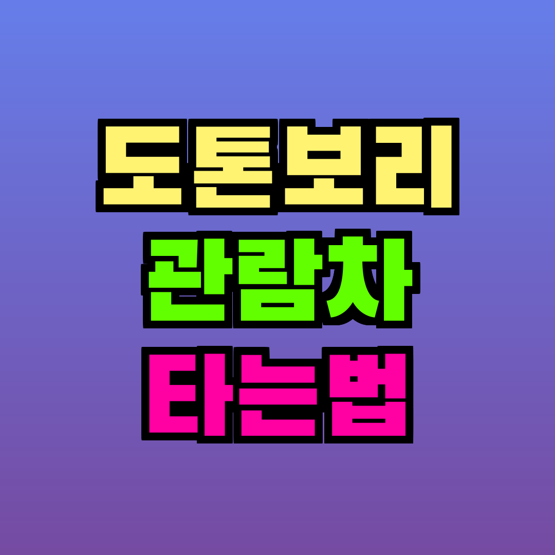 도톤보리 관람차 타는법
