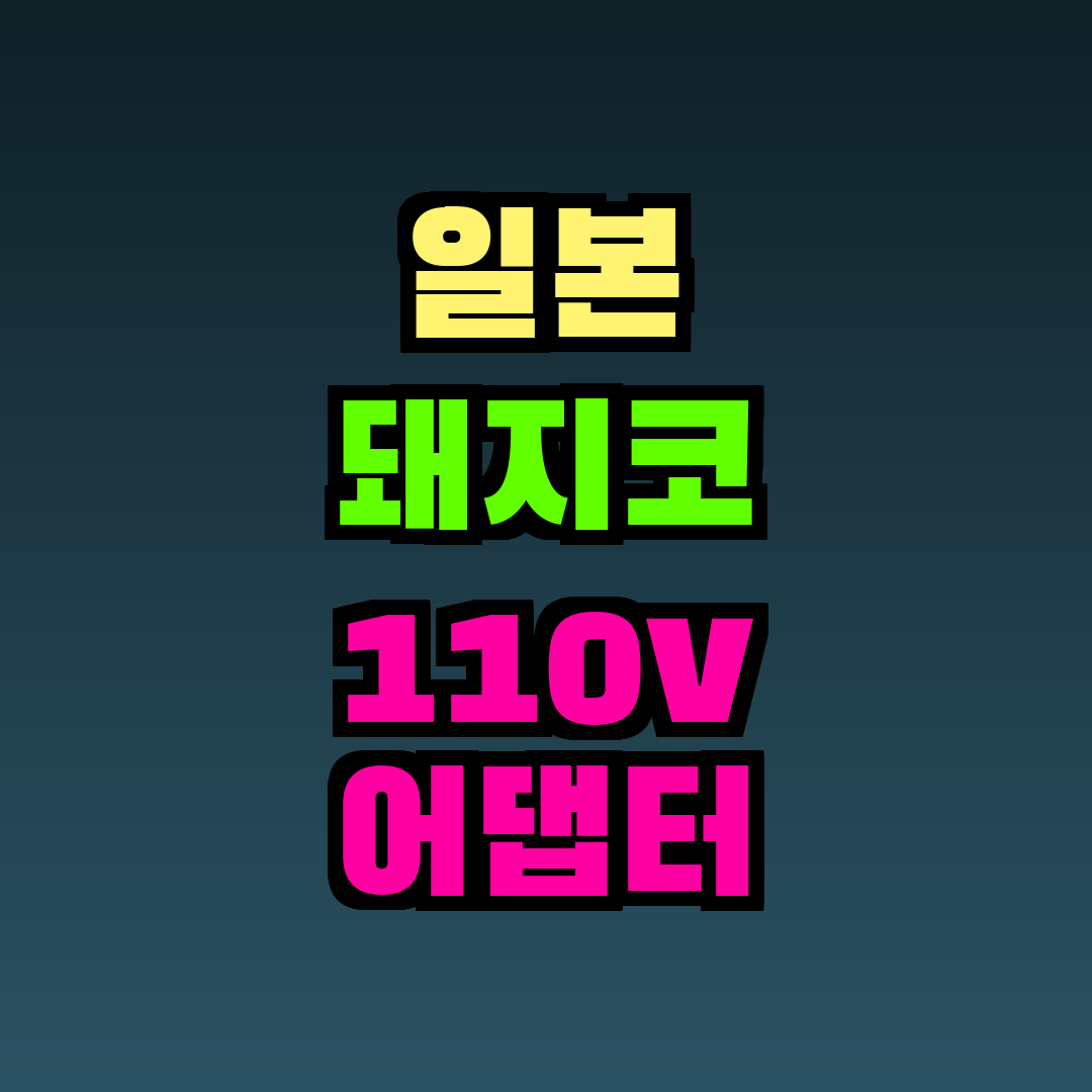 일본 돼지코 110v 어댑터