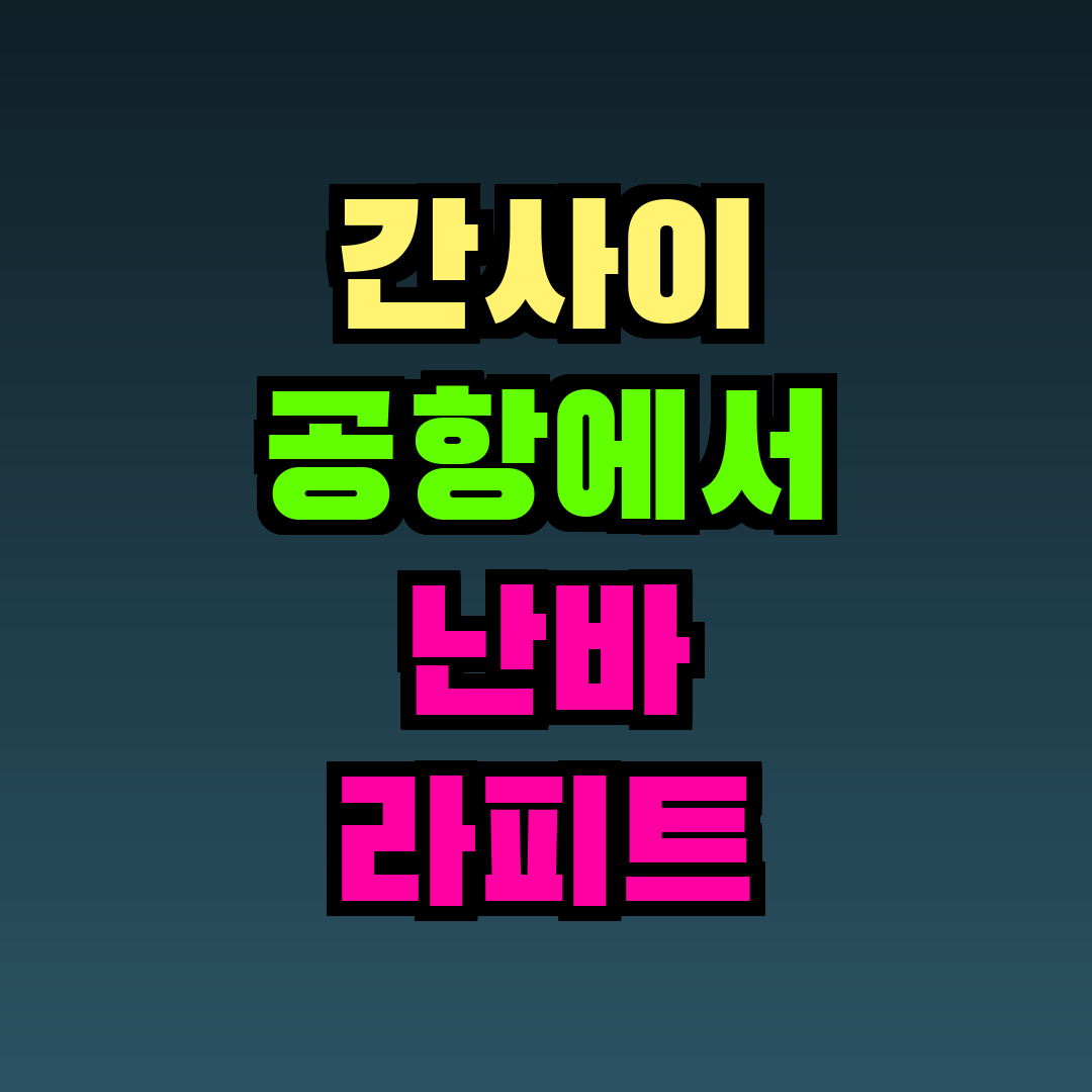 간사이 공항에서 난바 라피트