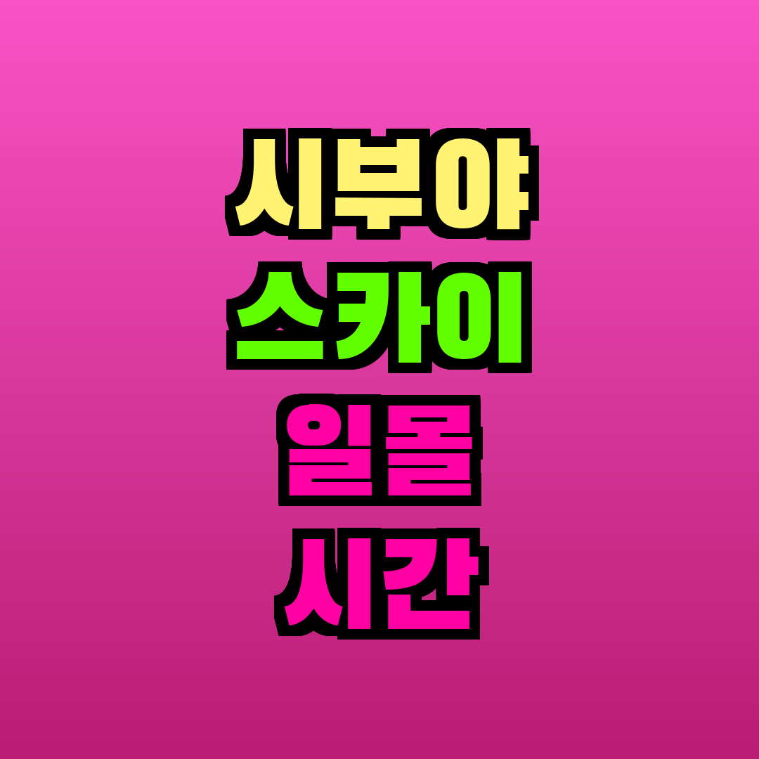 시부야 스카이 일몰 시간