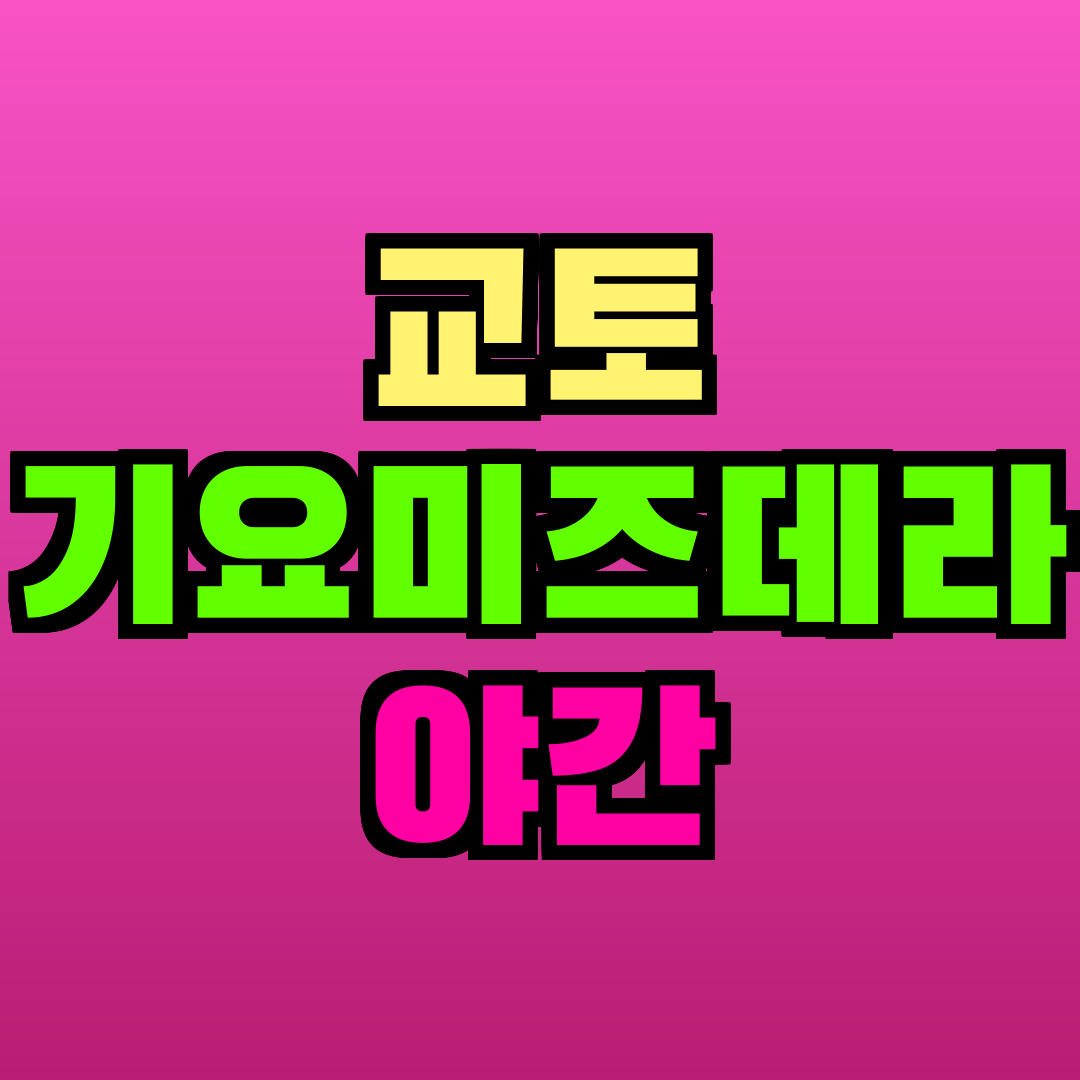 교토 기요미즈데라 야간