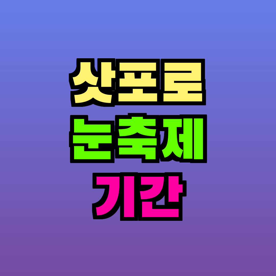 삿포로 눈축제 기간