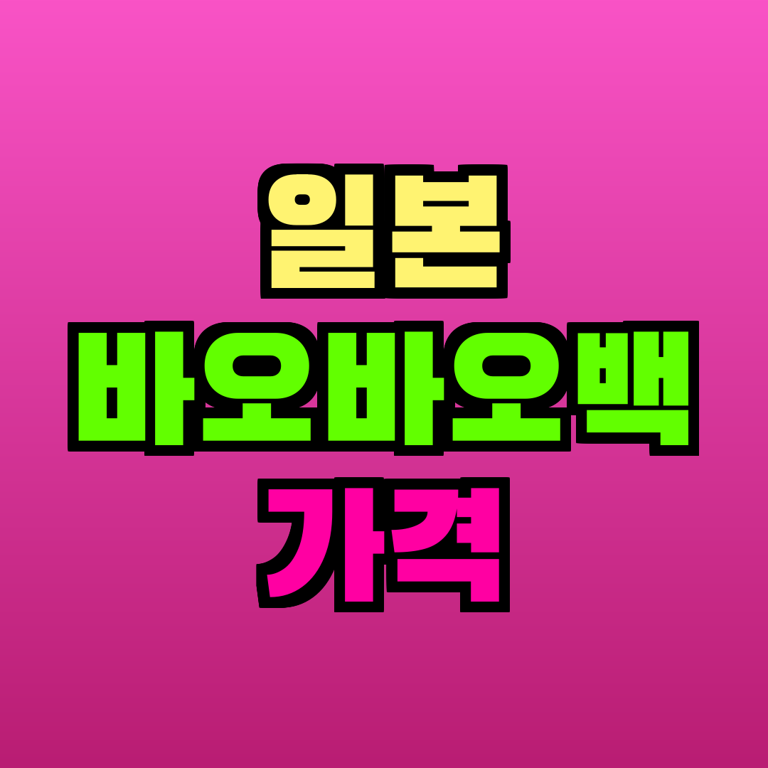 일본 바오바오백 가격