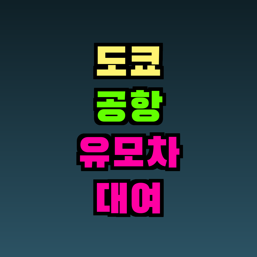 도쿄 공항 유모차 대여 수요