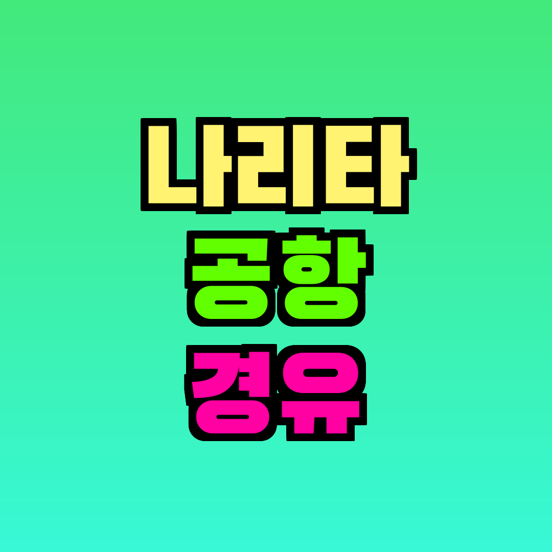 나리타 공항 경유