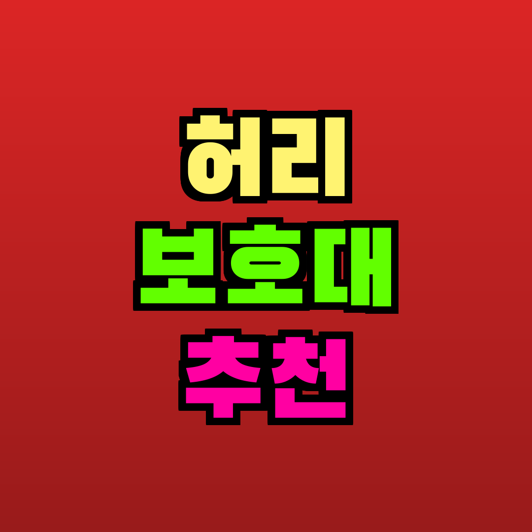 허리 보호대 추천 추천