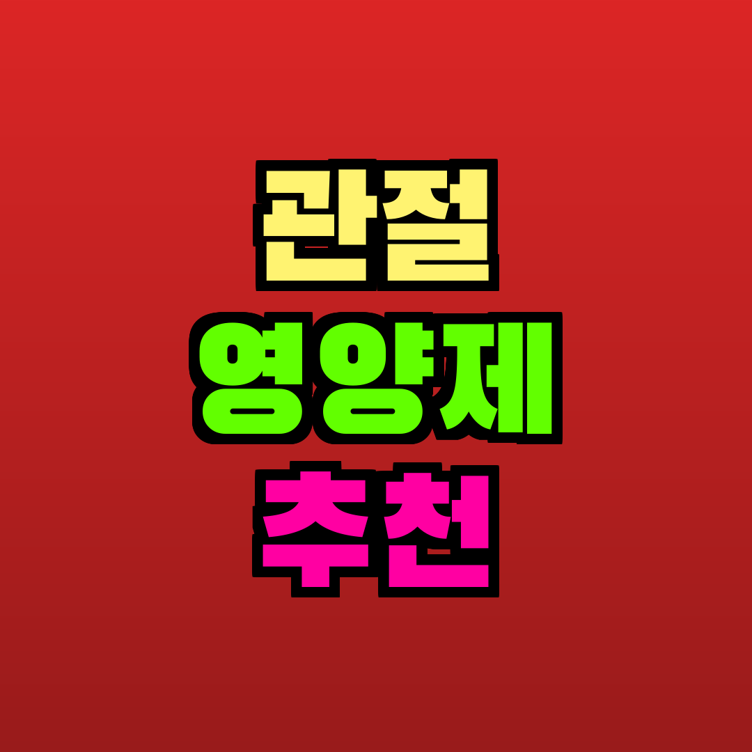 관절 영양제 추천 추천