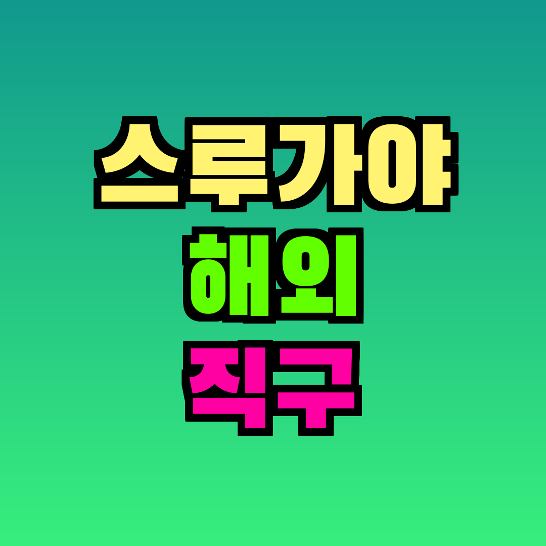 스루가야 해외 직구